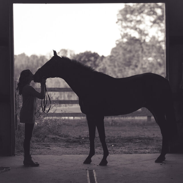 BHS Equine First Aid Course