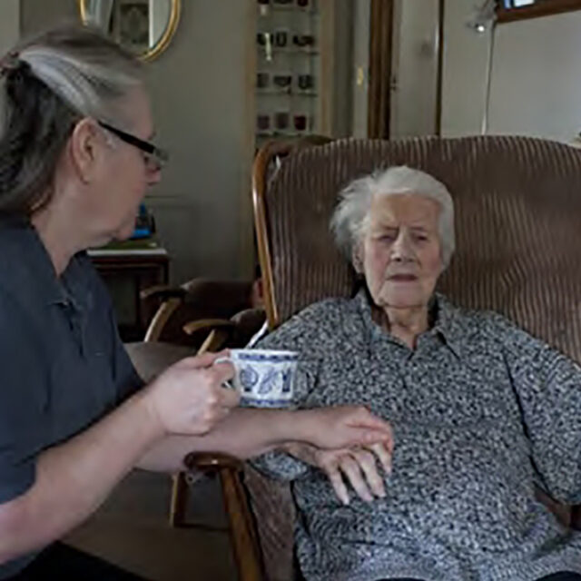 Online Compulsory Training Courses For Care Home Staff