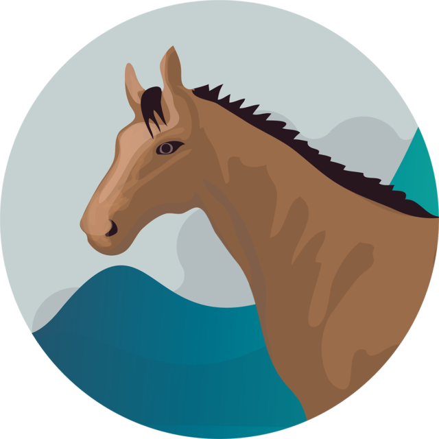 Equine