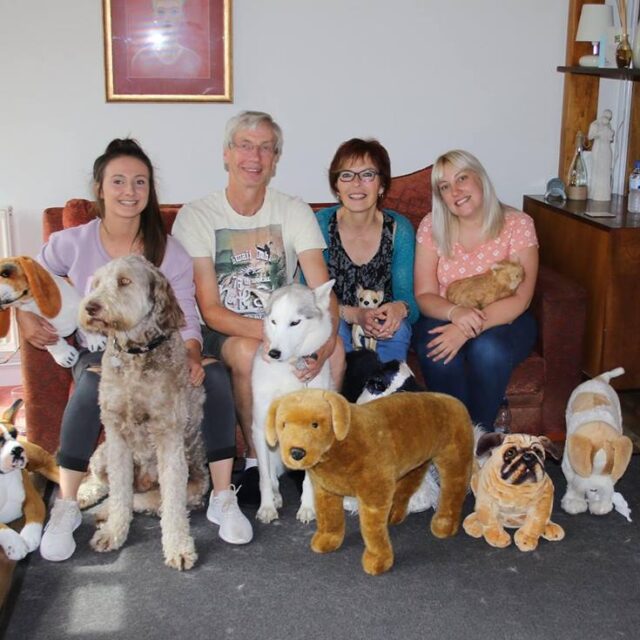 best pet course for dog walkers